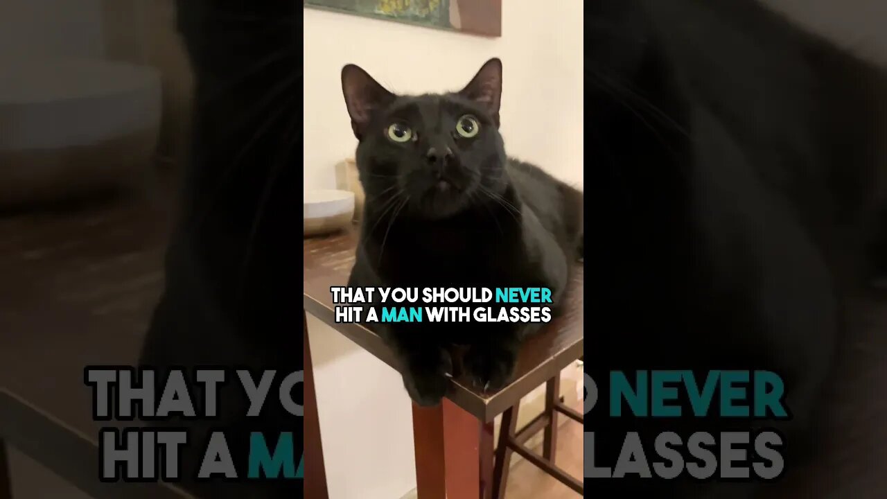 It’s just obvious right🤔🤓 #cat #blackcat #leonthecatdad #sarcasm #darkhumour #darkhumor #relatable