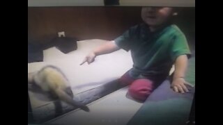 Family Home Video 2003