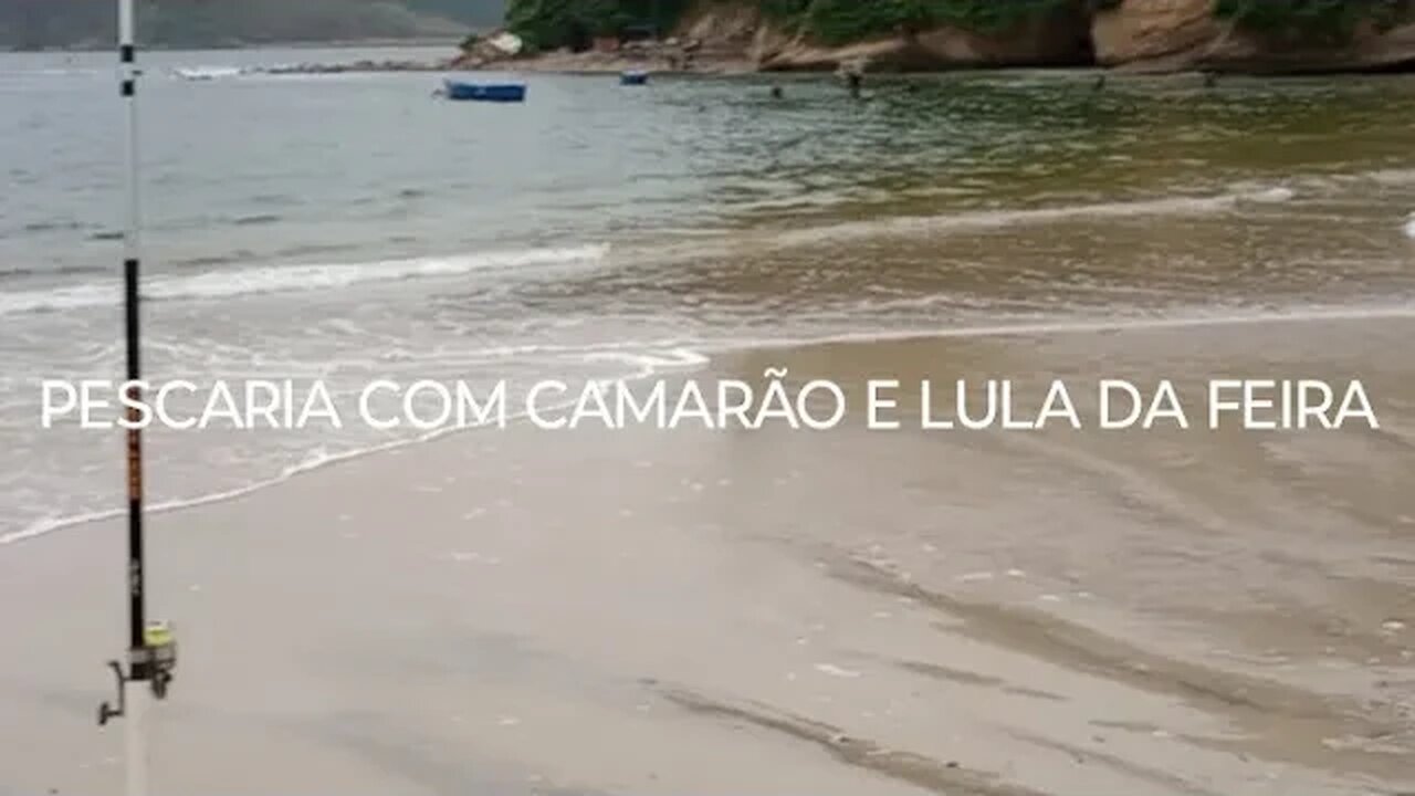 Usamos camarão de cativeiro e lula da peixaria da feira. Será que saiu alguma coisa ????