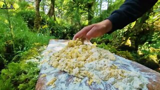 The Best Lasagna Ever cooked in Nature ASMR Cooking