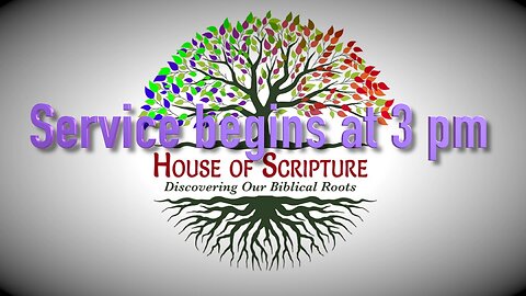 613 Commandments Pt 11-Offerings