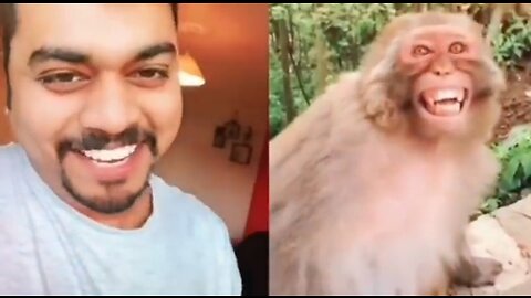 New fanny animals,😊
