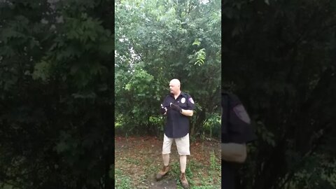 Defense against crazy tree limbs