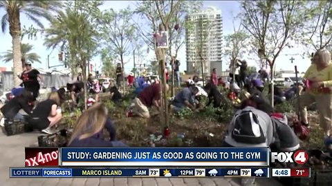 Study: Gardening just as good as going to the gym