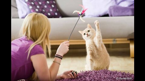 Child and kitten playing with very cute toy