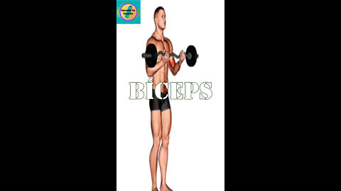 BÍCEPS