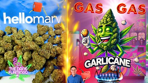 Trying Garlicane THCa Smalls from ShopHelloMary! The Dank Flamingo Cannabis Review!!