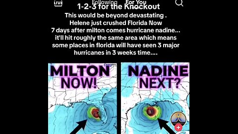 Hurricane 🌀 Nadine Expected To Hit Tampa Area In 7 Fays