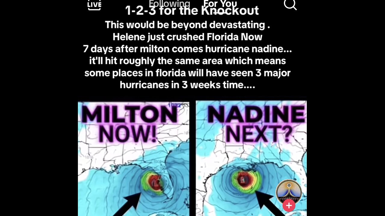 Hurricane 🌀 Nadine Expected To Hit Tampa Area In 7 Fays
