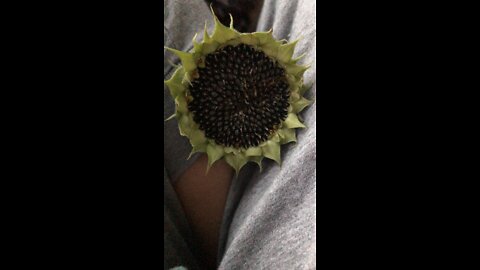 Seeds