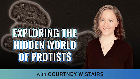 🌟🔬 Exploring The Hidden World of Protists: Surviving & Thriving Without Oxygen! 🌍🦠