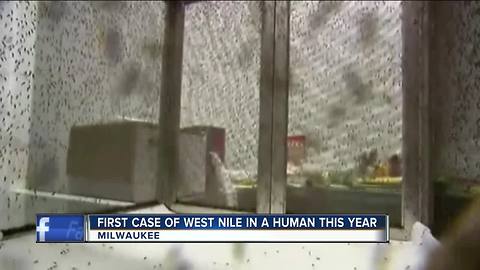City of Milwaukee confirms first human case of West Nile Virus of the year