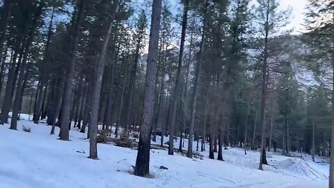 Firewood cut up and Q and A