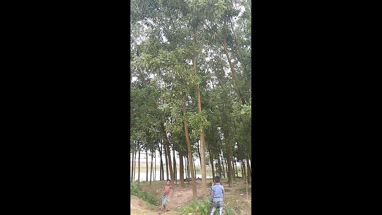 Nature Vlog | KM Explore