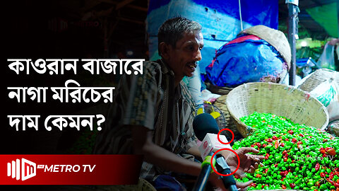 নাগা মরিচ দেশের চাহিদা মিটিয়ে রপ্তানি হচ্ছে বিদেশেও | Naga Morich | The Metro TV