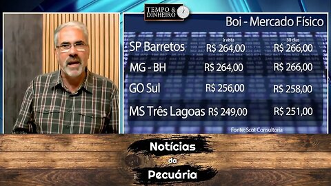 Boi gordo observa cauteloso mercado interno e Indonésia.
