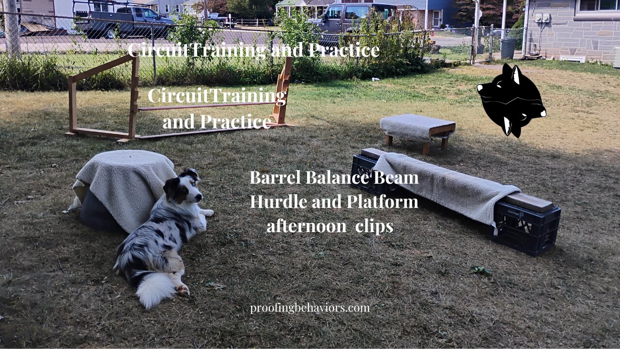 Circuit Training and Practice introduction to the circuit