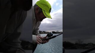 More Fishin Part 3!