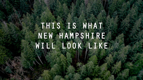 #NHVOICE THIS IS WHAT NEW HAMPSHIRE WILL LOOK LIKE......