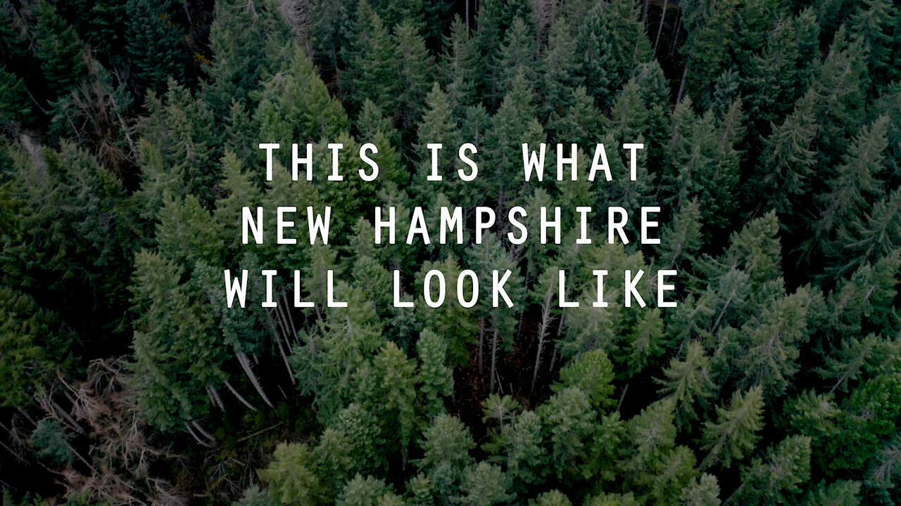 #NHVOICE THIS IS WHAT NEW HAMPSHIRE WILL LOOK LIKE......