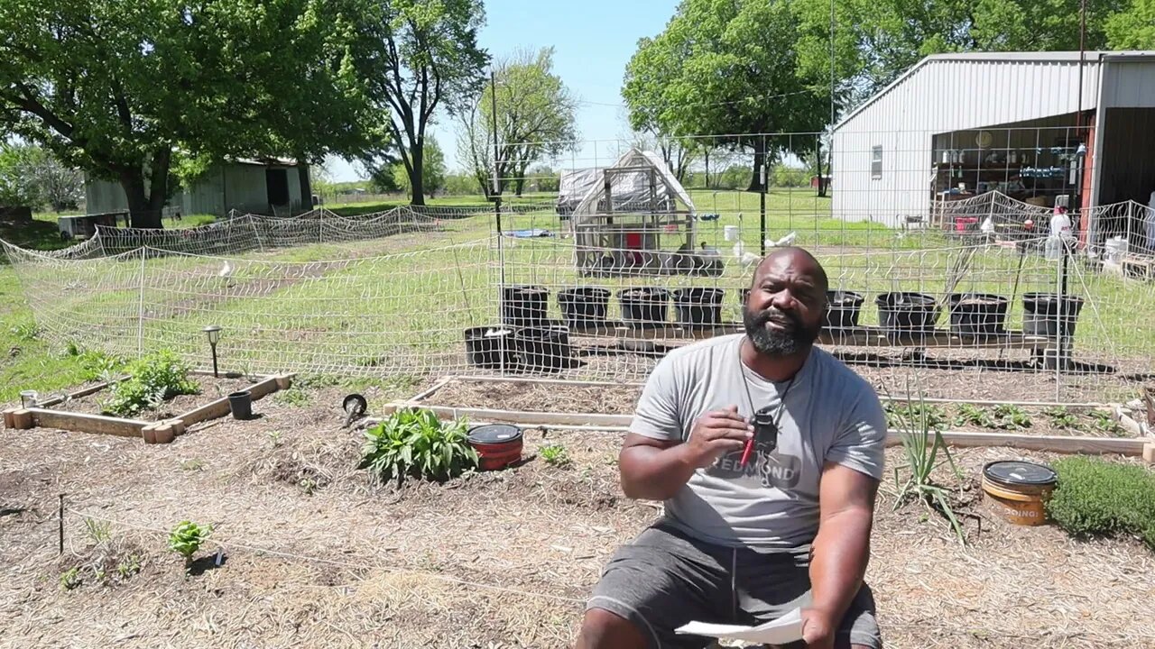 Results of Soil Testing & Our Plan: What Now?