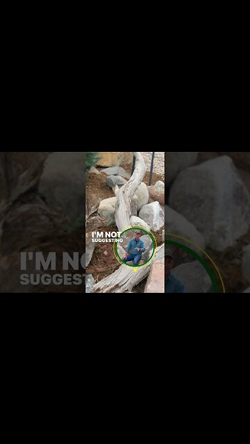 Boulders and Wood | Natural Landscaping Elements for Structure