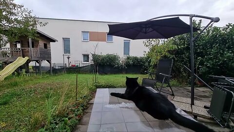 HD 1080p Highlight 57:38 – 1:02:37 Silent LIVE-Stream in garden with black cat 05.11.2023