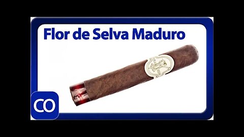 Maya Selva Flor De Selva Maduro Robusto Cigar Review