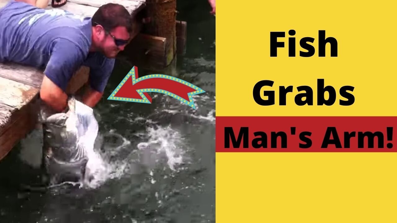 Fish Grabs Man's Arm!