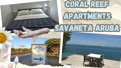 Why You'll Regret Not Staying at Coral Reef Apartments Aruba in 2024?
