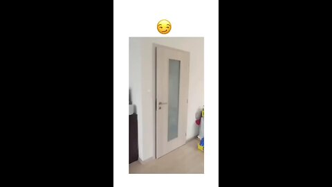 dog hello I’m here