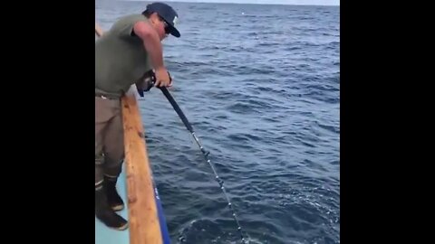 Fishing boat caught bass in deep sea