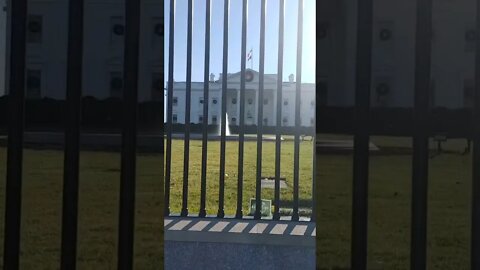 12/12/21 Nancy Drew in DC- Party at the WH last night but Sleepy was in Delaware- Live Cam was Busy!