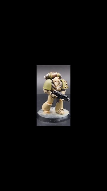 Heresy era DEATH GUARD SHOWCASE!!! ⚡ QUICKIE ⚡