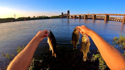 Bass and Drum in the Tennessee River: Chickamauga Dam