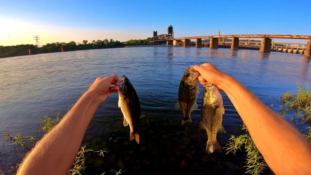 Bass and Drum in the Tennessee River: Chickamauga Dam