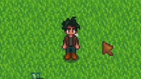 Flower Dance Location - Stardew Valley