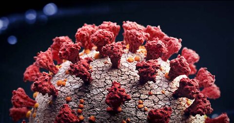 You can detox from spike proteins? (Who knew?)