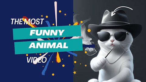 Time To laugh: Best Animal Funny Video.