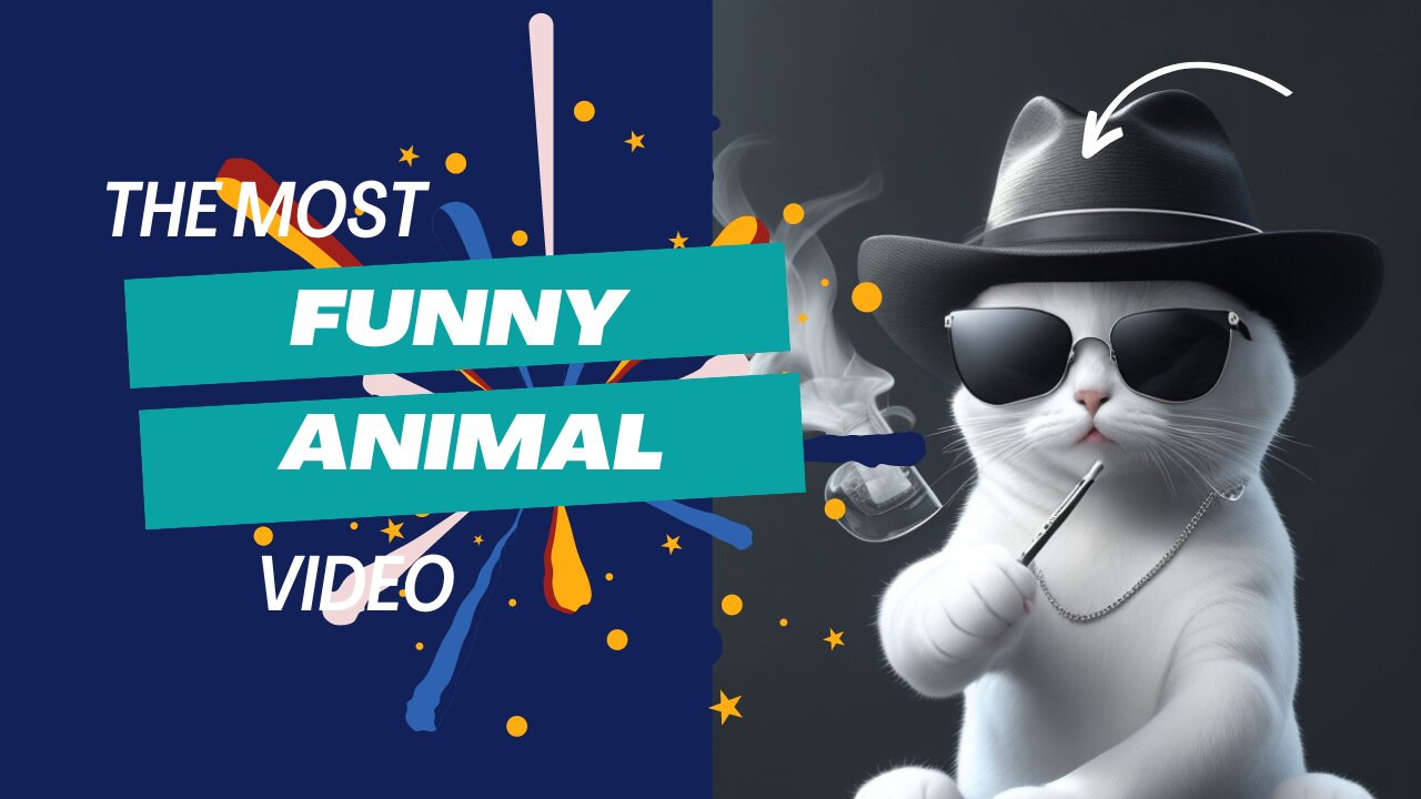 Time To laugh: Best Animal Funny Video.