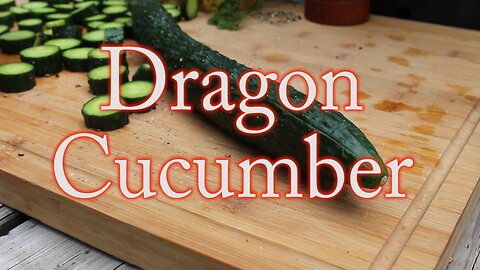 Dragon Cucumbers Review