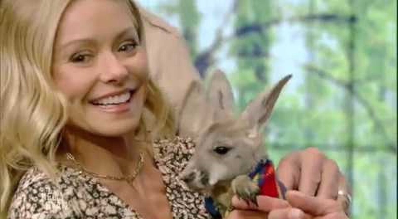 Baby Animals with Peter Gros