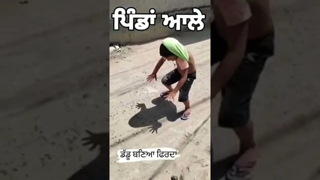 Pinda aale #facebook #funnyvideo #gameplay #icct20worldcup2022 #instagram #instareels #youtubeshorts