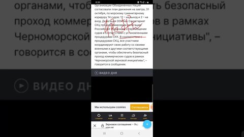 Украина, ООН и Турция согласовали движение 14 судов с зерном в Черном море俄语