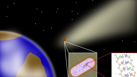 Are we all ALIENS?