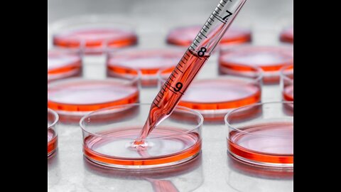 Live 97: L'Ukraine et ses laboratoires bio-médicaux secrets...