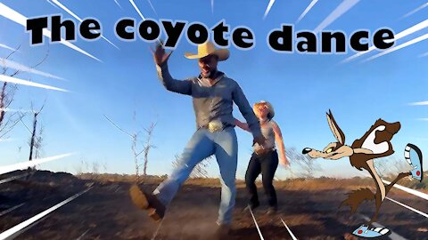 TITLE THE COYOTE DANCE