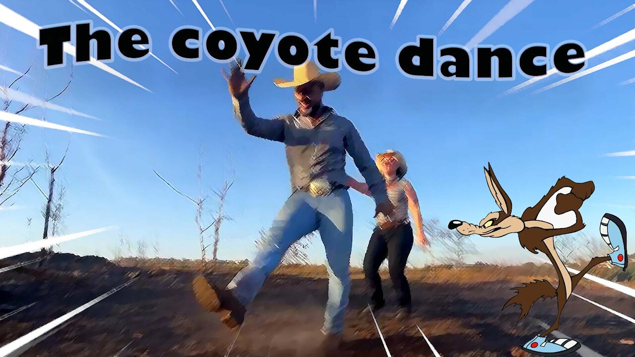 TITLE THE COYOTE DANCE