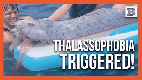 Chilling Deep-Sea Encounter: Kayakers Find 12-Foot Oarfish in La Jolla Cove
