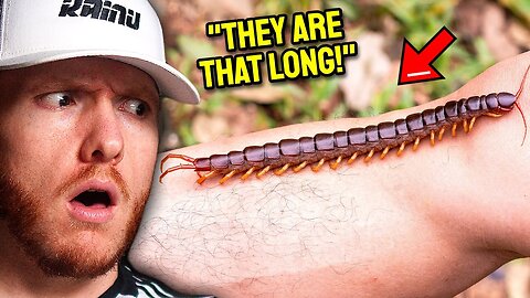 THE Top 10 Most Dangerous Animals you DON'T want to MEET!